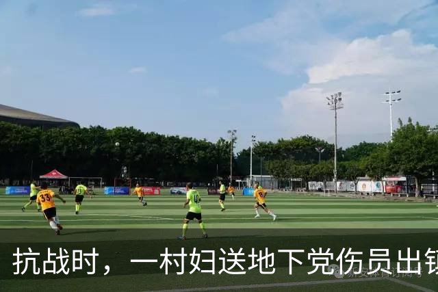 抗战时，一村妇送地下党伤员出镇，走到关卡前忽道：稍后我要装疯